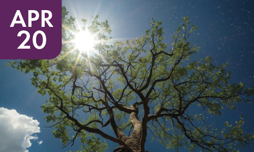 MONTH AHEAD ASTROLOGY<br>FORECAST