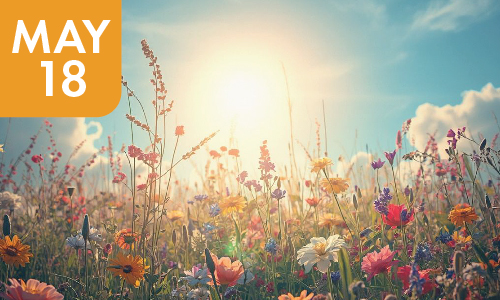 MONTH AHEAD ASTROLOGY<BR>FORECAST